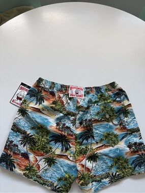Birdwell Men’s Tropical Swim Shorts in Blue & Green
